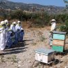 talk at the hives